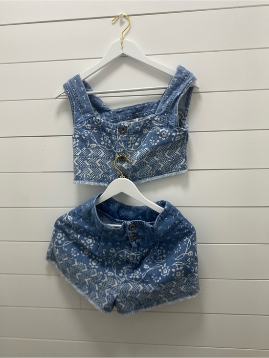 Free People Tops - Free people Blue Denim Floral Crop Top set
